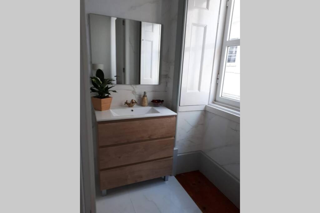 Ficus Aurea Lägenhet Aveiro Exteriör bild